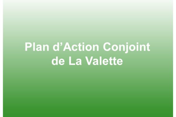 Plan d’Action Conjoint de La Valette (PACV)